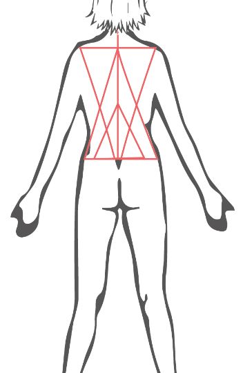 Fig.7.81